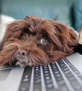 limpieza de ordenadores portátiles