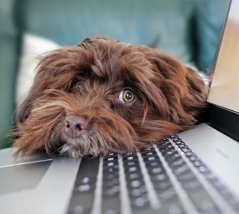 limpieza de ordenadores portátiles