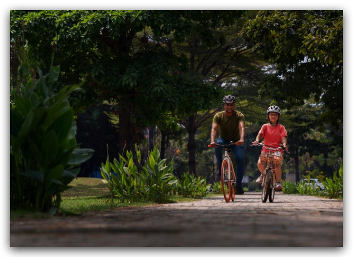 bike tour en San Sebastián