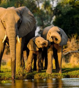 viajes y experiencias