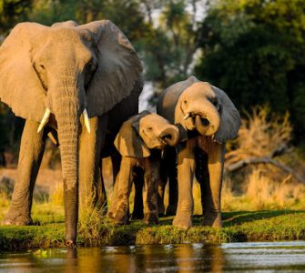 viajes y experiencias