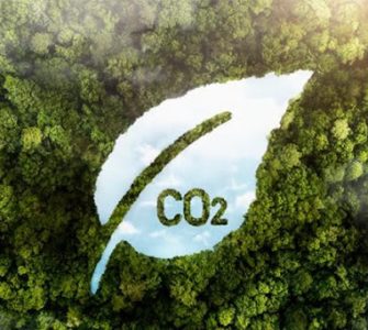 reducir huella de carbono