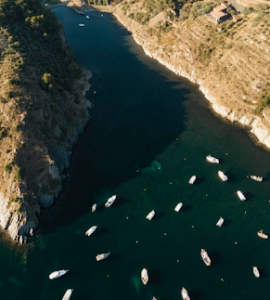 barco de mejillones